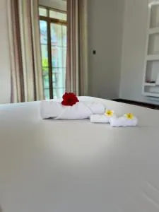 skyport villa - Fumba