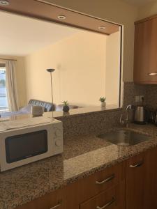 Gray dAlbion POL519 studio