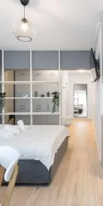 Springview Studio - Clinceni