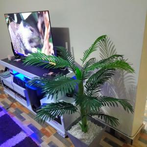 Jetview court Apartment