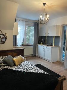 Apartamenty i pokoje u Staszelów