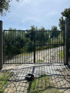 Cottage VIVI tra mare e ulivi img26