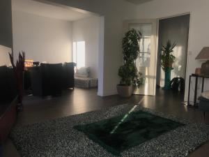 Appartements Nice place 80m2- 2 to 8 beds- 30min from Paris 15min Aeroport Orly : Appartement 1 Chambre
