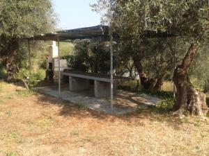 Cottage VIVI tra mare e ulivi img18