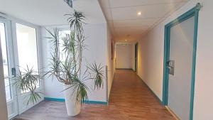 Hotels Hotel Val Vert : photos des chambres