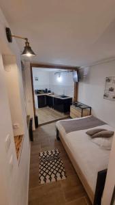 Appartements Le Musoir : photos des chambres