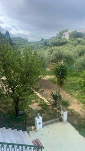 St Nicholas Tsilivi Apts by "elite"
