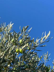 Hotels La Cle des Champs, Boutique hotel & Spa - Le Mas de Garrigon : photos des chambres