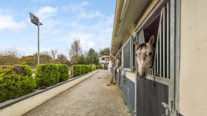 Luxury house - 4P Versailles