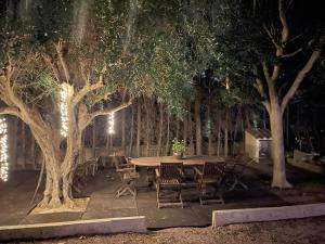 PalmsDreams Chalet en Alicante