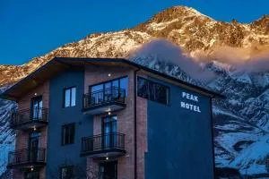 Peak Hotel Kazbegi - 卡兹贝吉