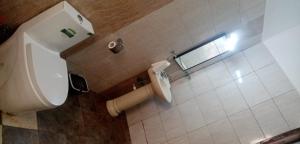 Wembley Queen Garden