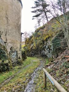 Villages vacances Domaine Aigoual Cevennes : photos des chambres