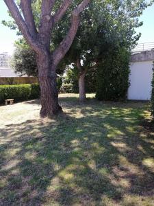 Maison deux chambres avec jardin à 100m de locéan