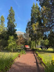 Cabañas Hebrón El Bolsón