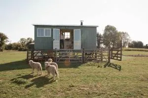 The Lookerer by Bloom Stays - Dymchurch