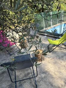 Maisons de vacances Le Cabanon d-Elie : photos des chambres