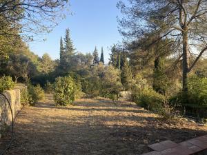 Maisons de vacances Le Cabanon d-Elie : photos des chambres