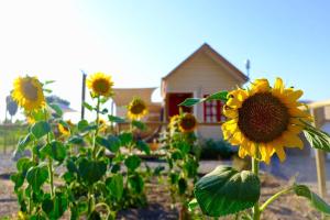 Tiny house en Chicureo