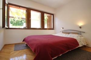 Apartment Krivec