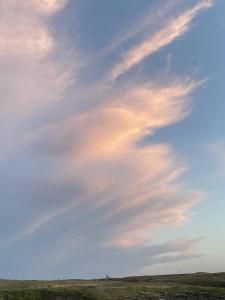 Spacieux 2 pièces vue mer, parking, wifi