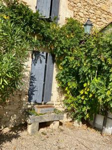 B&B / Chambres d'hotes Ma demeure dans les vignes : photos des chambres