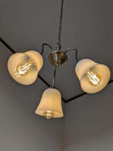 Villa Tojinbo ヴィラ東尋坊 1棟貸切10人 東尋坊5分 芝政15分 恐竜博物館55分 かに