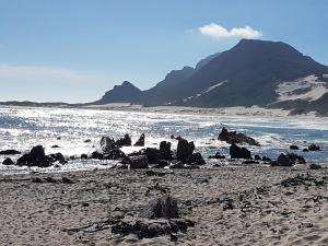Bettys Bay Quaint Cottage