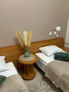 Svečių namai RASA - Papiškiai