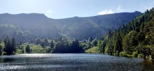 Maisons de vacances MUNSTER camping de la FECHT : photos des chambres