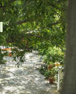 B&B / Chambres d'hotes Maison Paulette : Chambre Double - Vue sur Montagne