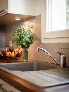 Maison de vacances Navarrosse