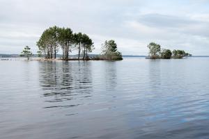Maison de vacances Navarrosse
