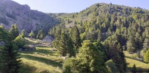 Maisons de vacances MUNSTER camping de la FECHT : photos des chambres