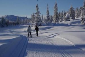 Modern Lakeside Cabins Jacuzzi and Sauna Up To 18 People