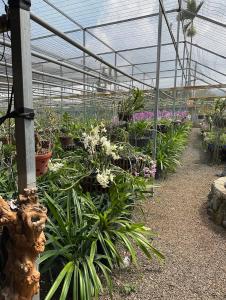 homestay SunMoon 14 Lê Lợi