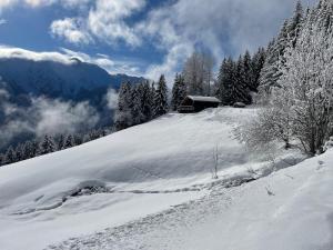 Appartements Le petit erable - Vue Mont Blanc : photos des chambres