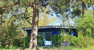 Blauer Bungalow am See mit Boot - Zahrensdorf