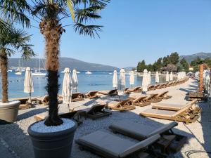 Apartment Casa sul Mare