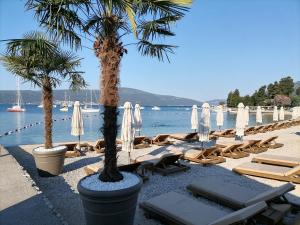 Apartment Casa sul Mare