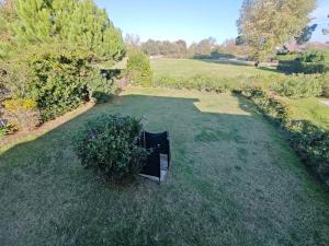 Holiday home in Isola di Albarella 43996