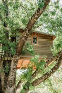 Cabane Perchée avec Jacuzzi, au Coeur du Luberon