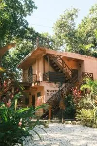 Salvia Madre - Hacienda La Beatriz