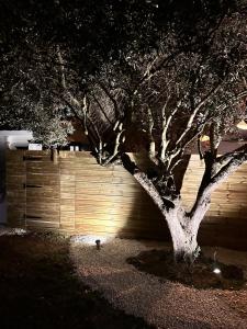 Chalets La Cabane de L-Olivier - Suite cosy avec jacuzzi & home cinema : photos des chambres