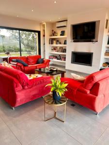 Maisons de vacances Maison Terra Bella, experience authentique en plein coeur du maquis, piscine : photos des chambres