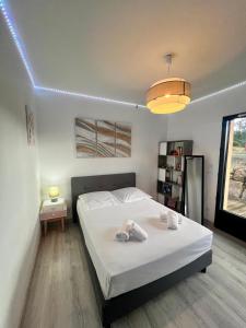 Maisons de vacances Maison Terra Bella, experience authentique en plein coeur du maquis, piscine : photos des chambres