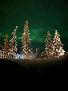 Lights of Lapland Resort - 波西奥