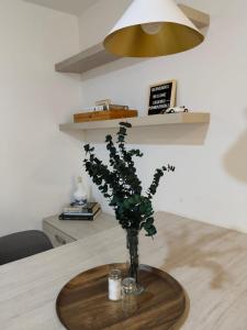 Suite Candelaria Las Aguas