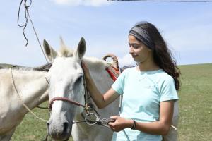 Nomad Equestrian Stable