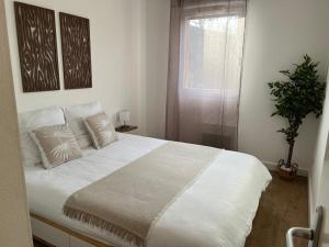 Appt entier 85m2 avec 2 chambres dont 1 suite parentale 1 bureau 1 canapé lit piscine